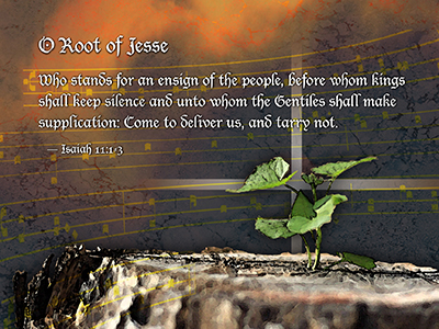 O Root of Jesse